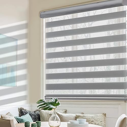 MYshade Persianas enrollables de cebra, para ventanas, sin cordón, para filtrar la luz diurna y nocturna, persianas enrollables de doble capa de 25