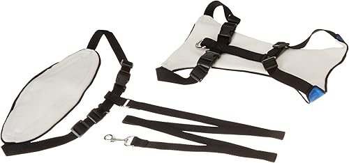 Miniatura 2 de Guardian Gear Nylon Lift & Lead - Arnés para perro 4 en 1, grande, color azul