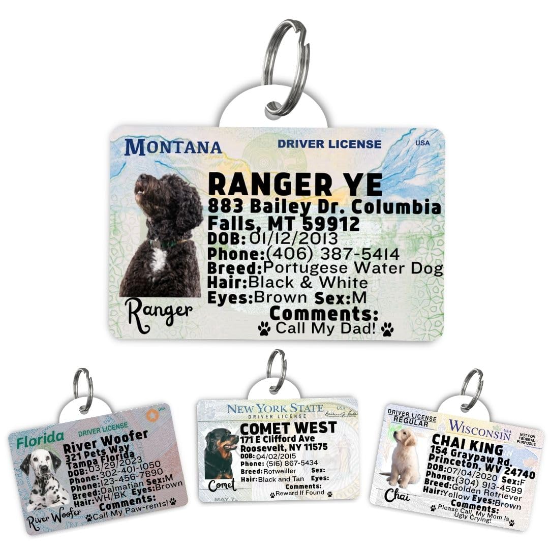Driver License Custom Dog Tag for Pets and Wallet Card - Dog Tags for Dogs - Dog ID Tag - Personalized Dog ID Tags - Cat ID Tags - Pet ID Tags for Cats - Personalized Pet ID Tags (Montana, Tag)