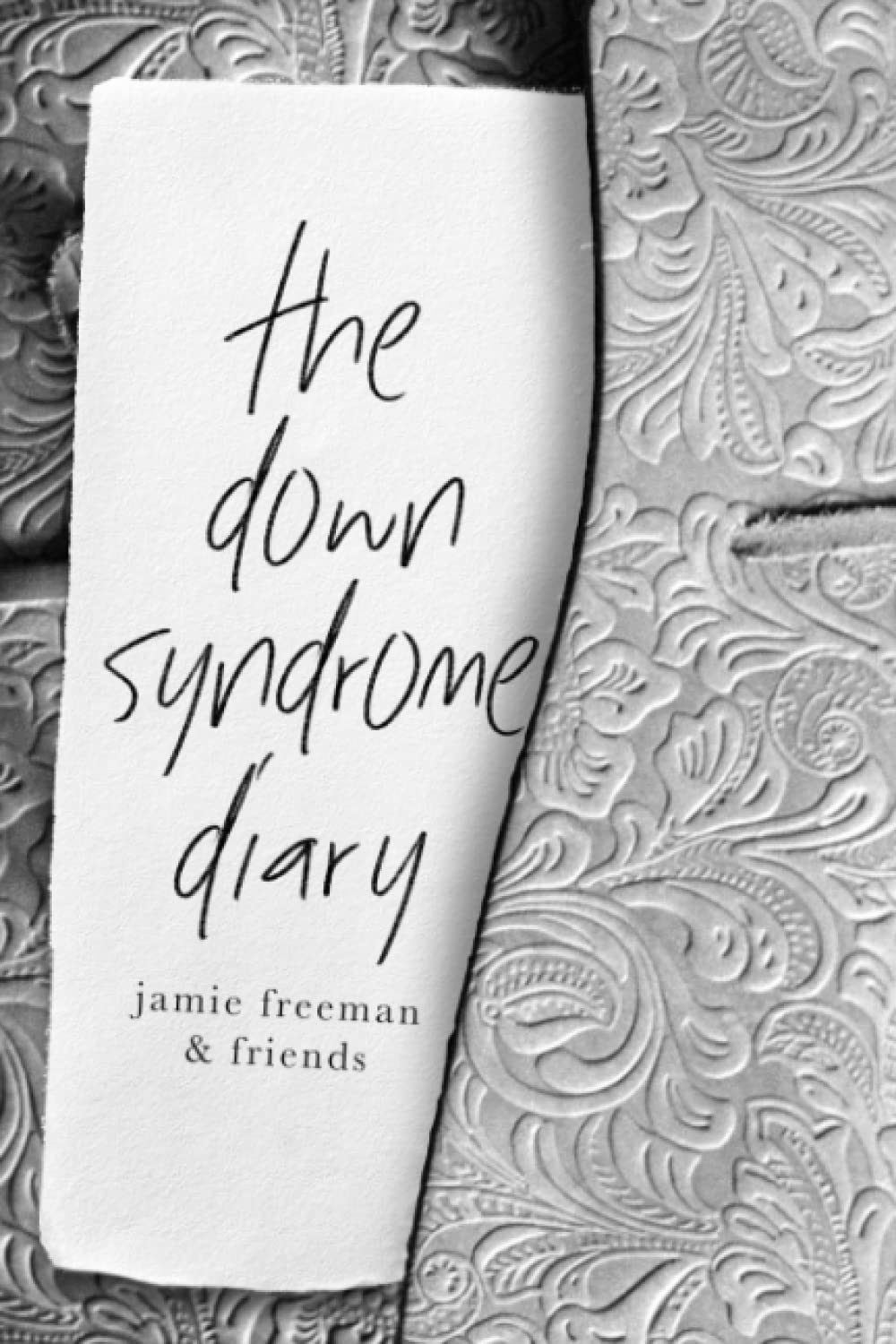 The Down Syndrome Diary: The journey of one little book that will change the world. (The Down Syndrome Diaries)