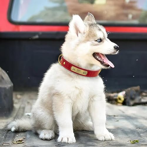 Miniatura 5 de Collar de perro de cuero genuino personalizado con placa de nombre grabada, duradero y elegante collar de perro personalizado para perros pequeños,
