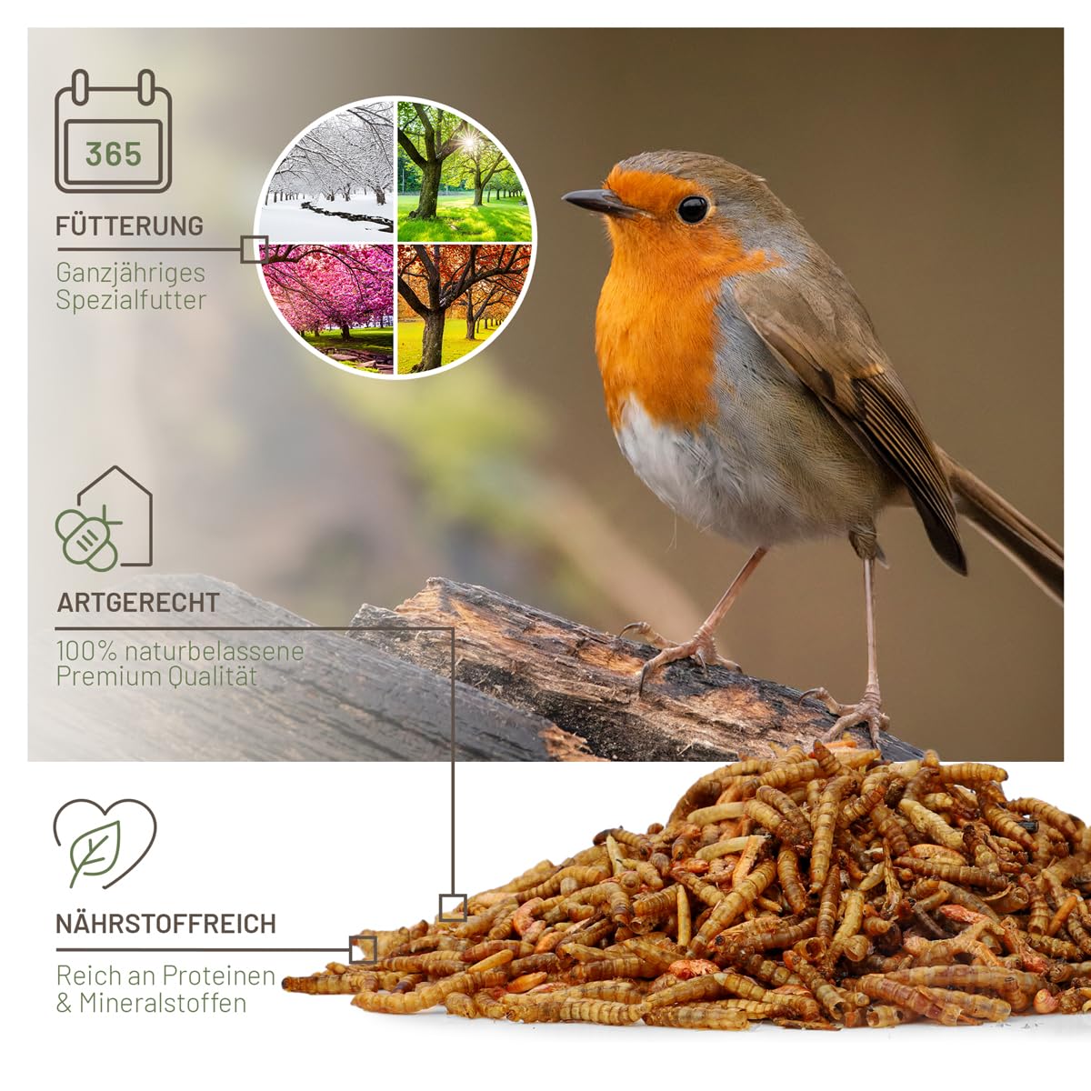 wildtier liebe Vogeltraum Mélange d'insectes de qualité supérieure 2,5 l I Vers de farine séchés, larves d'insectes et gamarus pour oiseaux I Vers de farine séchés, nourriture pour oiseaux sauvages,
