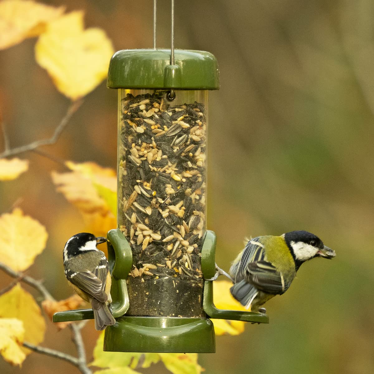 Jacobi Jayne RP3-S1G Ring-Pull Click Small Seed Feeder, green Bird — view 4