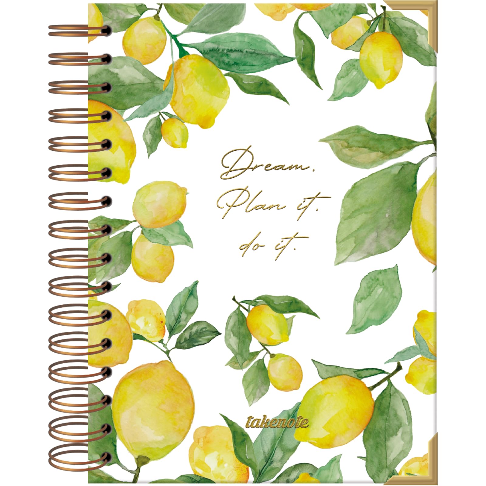 Dreambook Notebook A5 - Blank Interior, 192 White Pages, Size 15.5 x 21.5 cm, Hard Cover, Double Gold Spiral (Wire’o) - Takenote Agatha