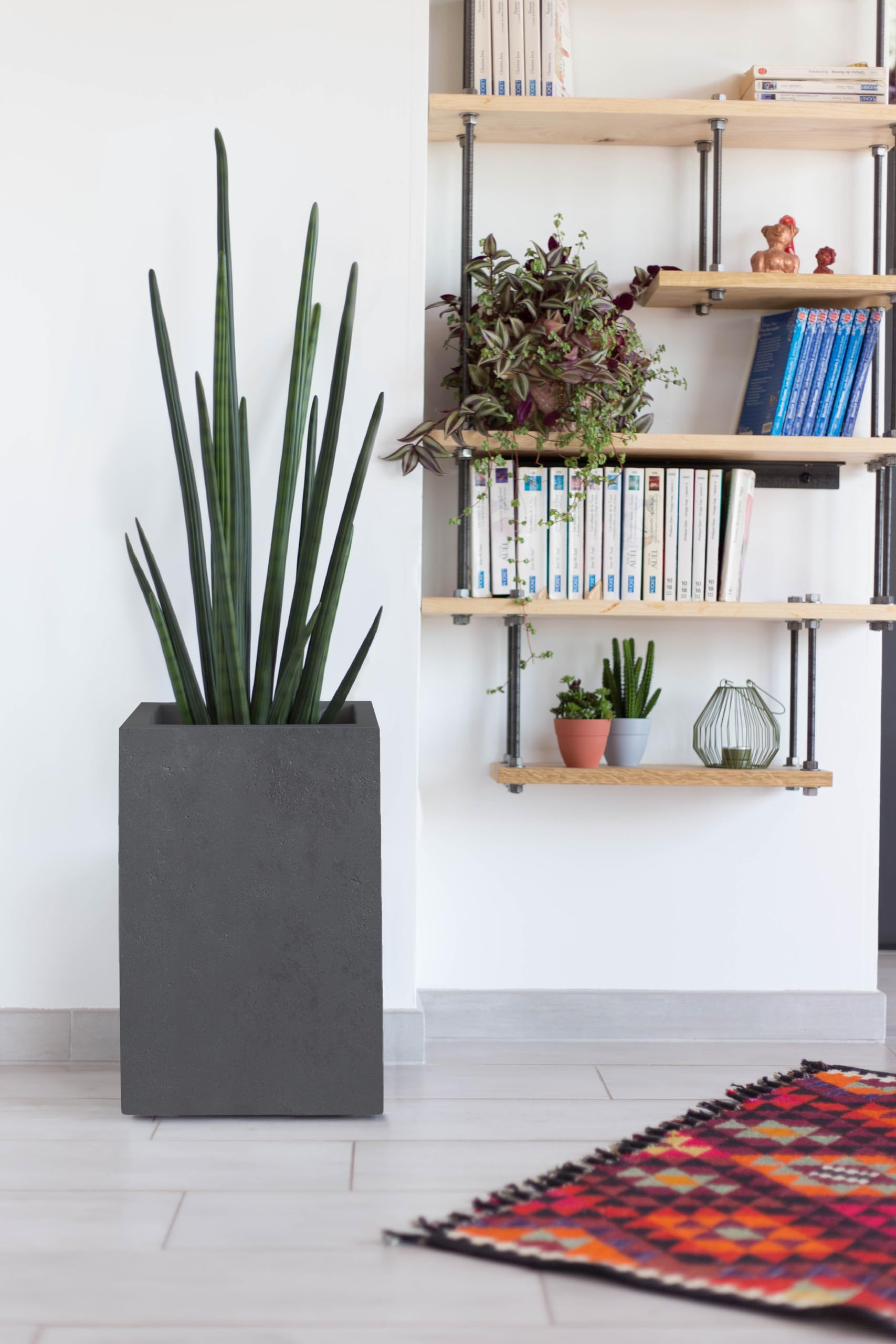 EDA - Pot Carré Haut Basalt'Up 36 L - Décor Imitation Béton - Simple Paroi - Zone de Rétention d'eau - 29,5 x 29,5 x H.49,5 cm - Gris Anthracite