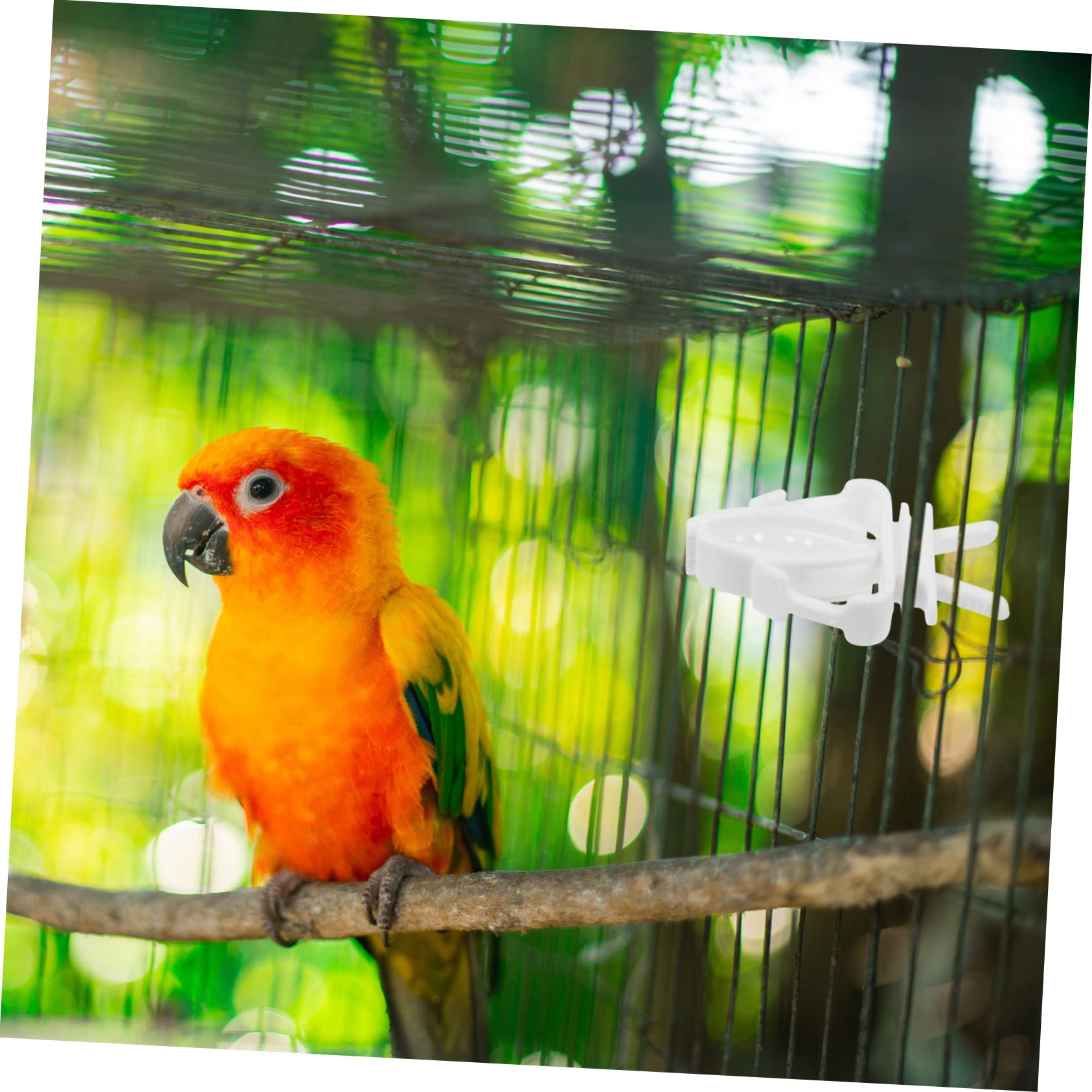 BESPORTBLE 20pièces Supports Alimentaires pour Oiseaux Clips Fixateurs De Fruits Et Légumes pour Cage à Oiseaux Accessoires pour Perroquets