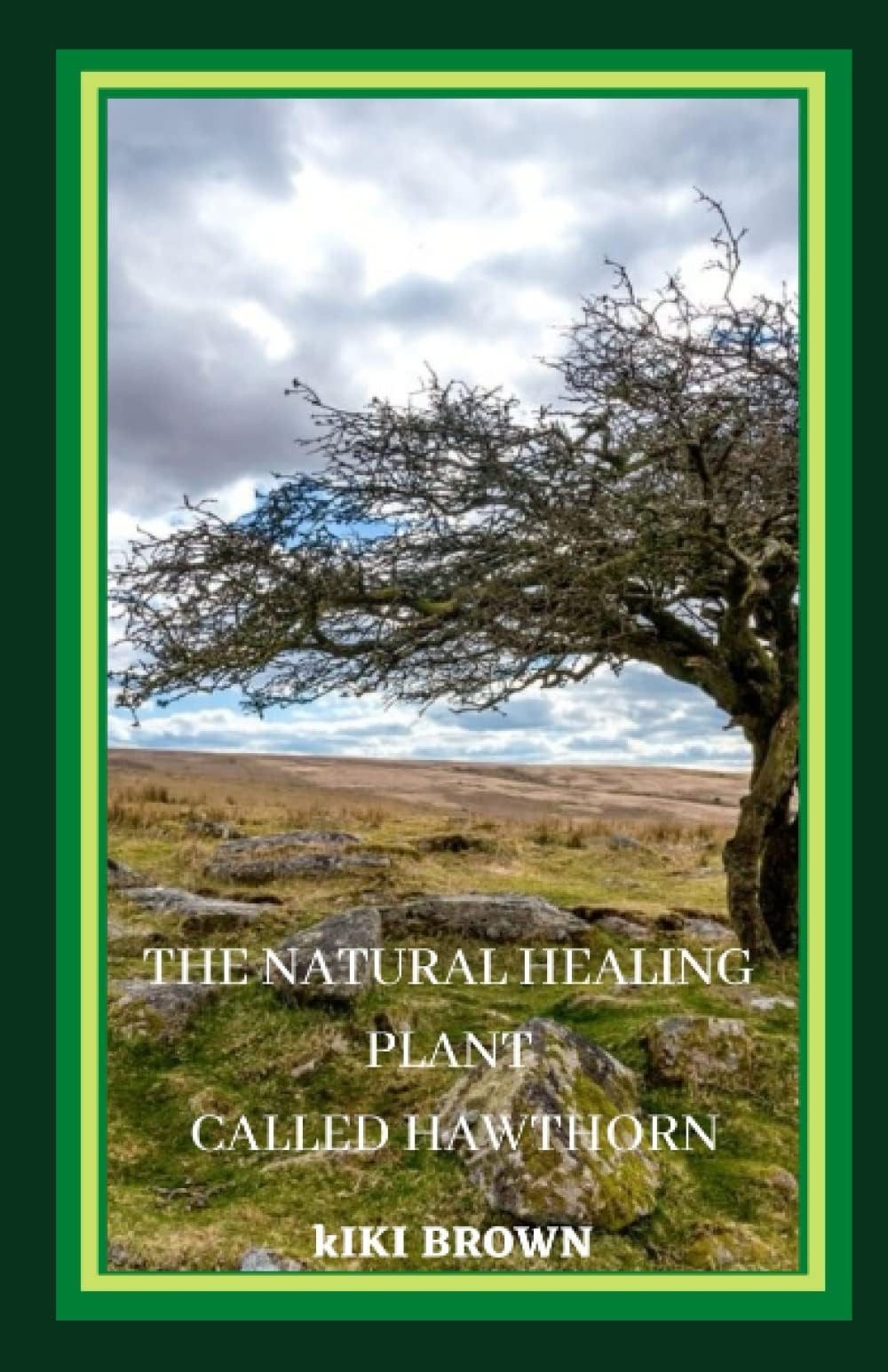 The Natural Healing Plant Called Hawthorn: The Tree That Has Nourished, Healed, and Inspired a lot of sick lives for a ages