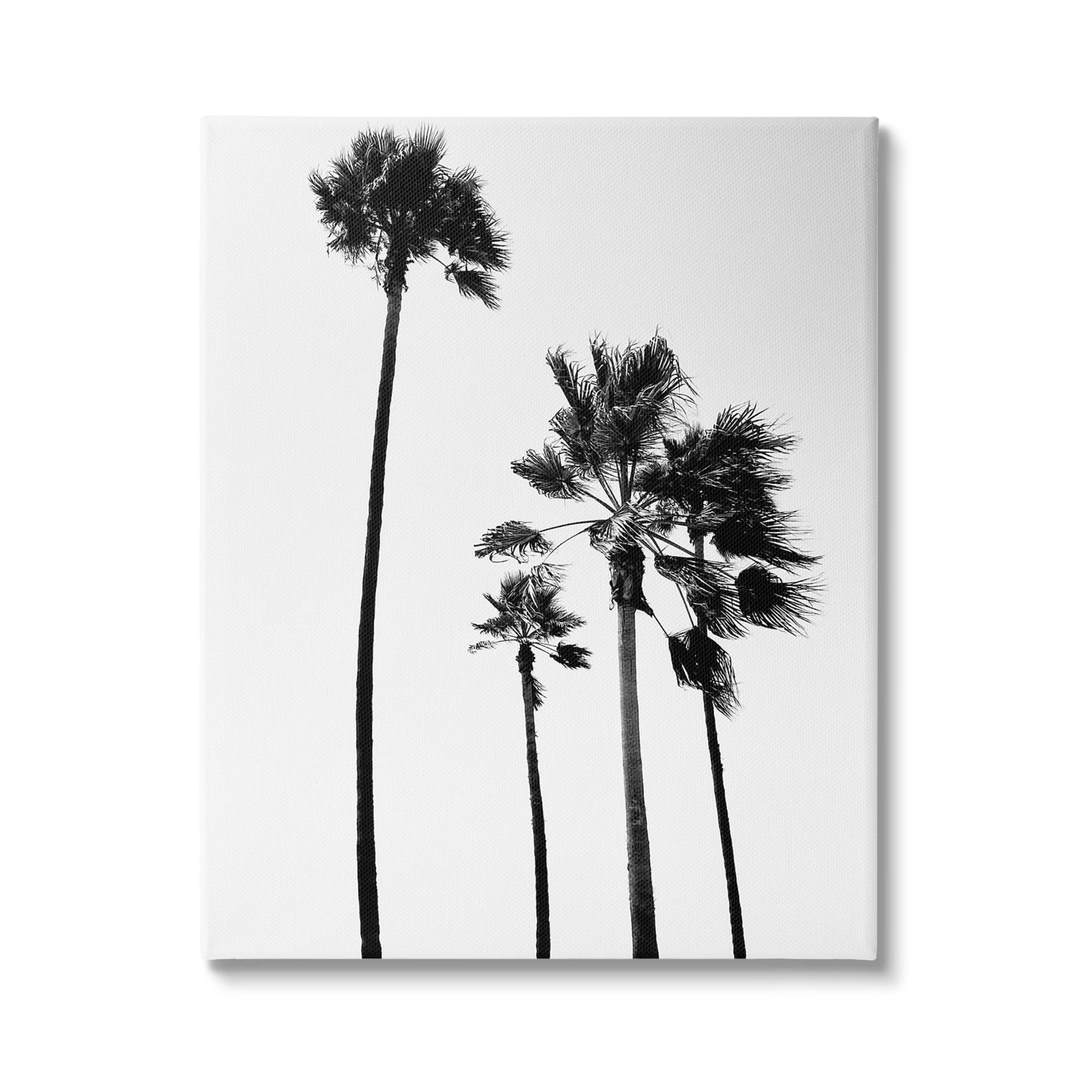 Stupell IndustriesLooming Palm Trees Clear Summer Sky Photography Canvas Wall Art, Design By Amelia Myers