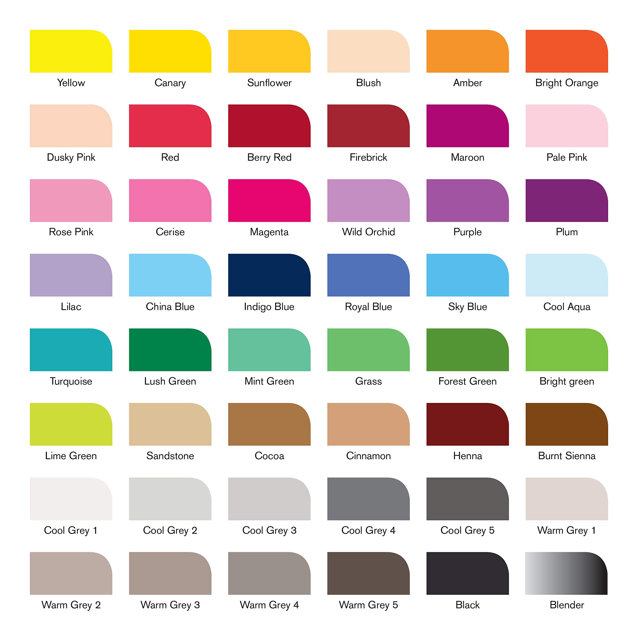 Winsor & Newton 0290080 BrushMarker (für Zeichnungen, Kalligraphie, Design und Layouts, streifenfreies Zeichnen mit Keil- und Pinselspitze) 48 Farben Set