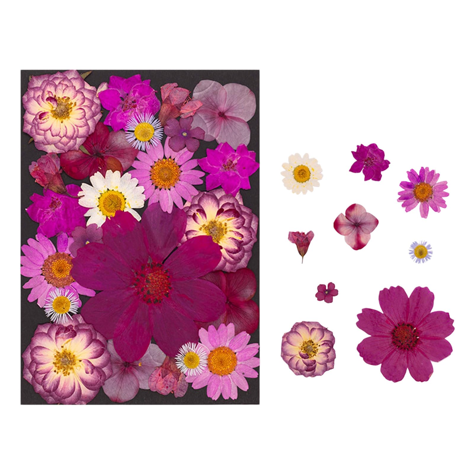 Fiori secchi Naturali per segnalibri, creazione Candele per Gioielli, Foglie pressate Naturali per lavori artistici Fatti a Mano per Arte in Resina