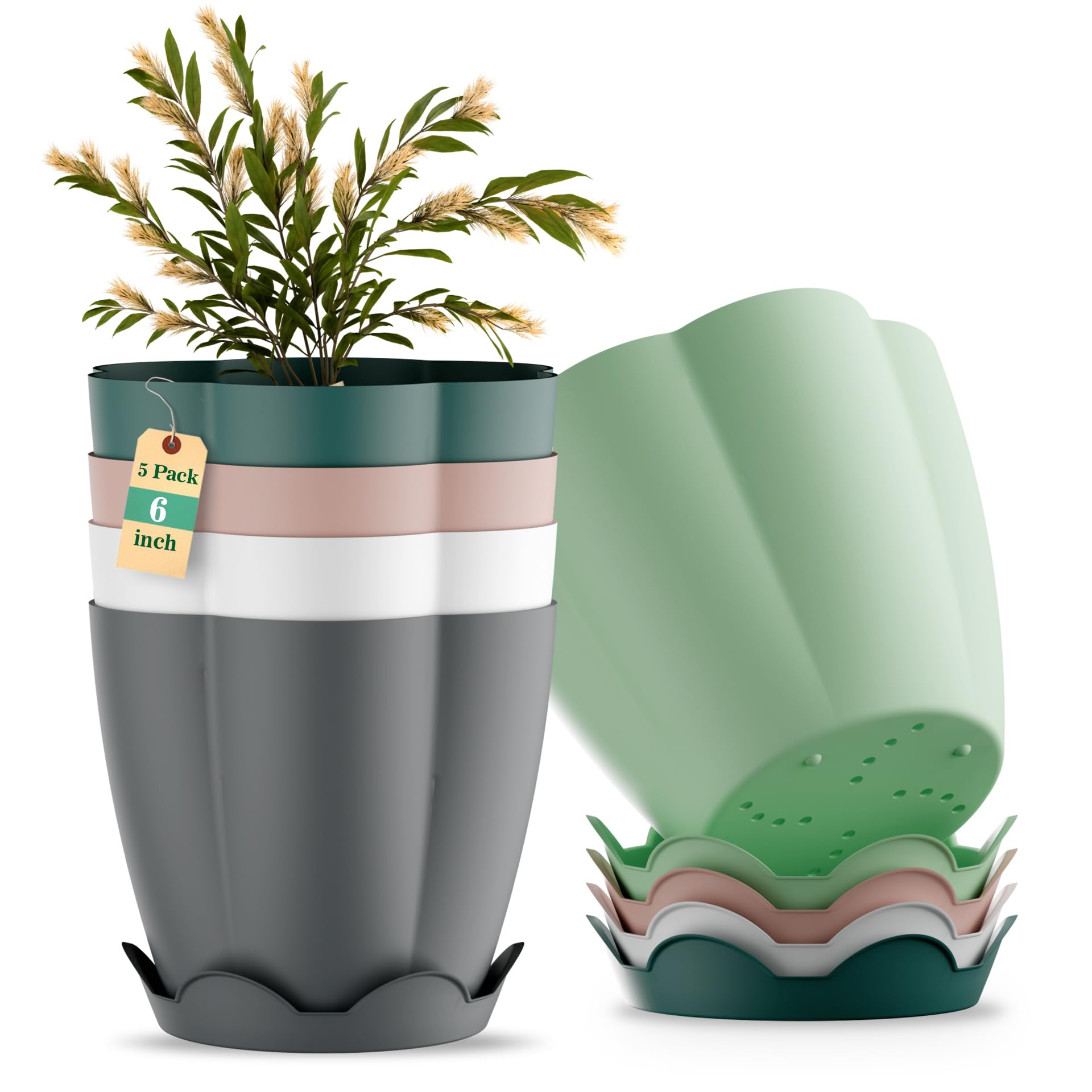 Plastic Flower Pot Set of 5, Planters 6 Inch with Drainage Holes & Matching Saucers | Lightweight Decorative Indoor Outdoor Plant Pots for Home, Balcony, Garden & Office | Multicolor-image-8