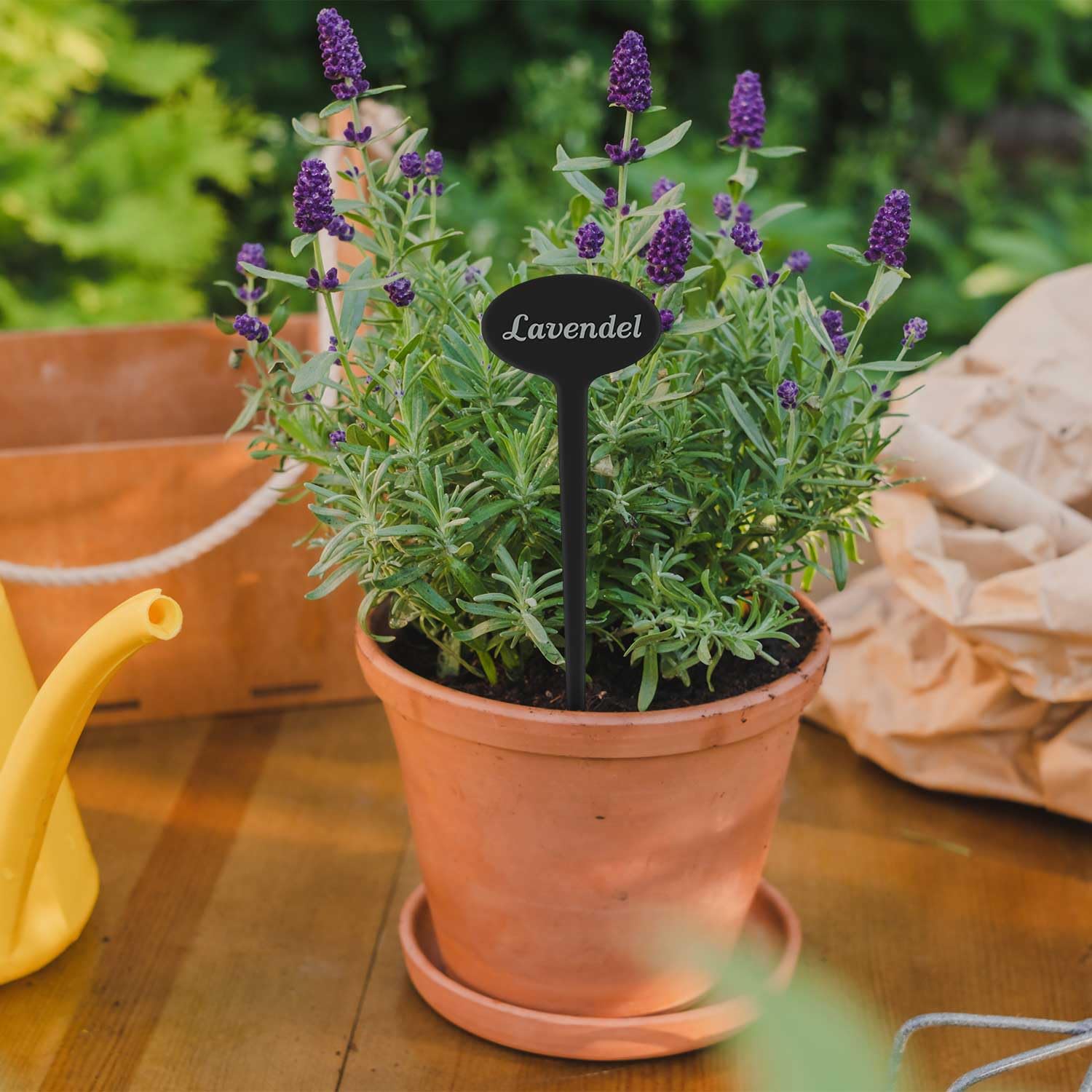 GRAVURZEILE Targhetta per piante con incisione – basilico – Elegante cartello per erbe in acrilico nero per il giardino – spina di erbe adatte per aiuole ed erbe aromatiche – Colore: basilico