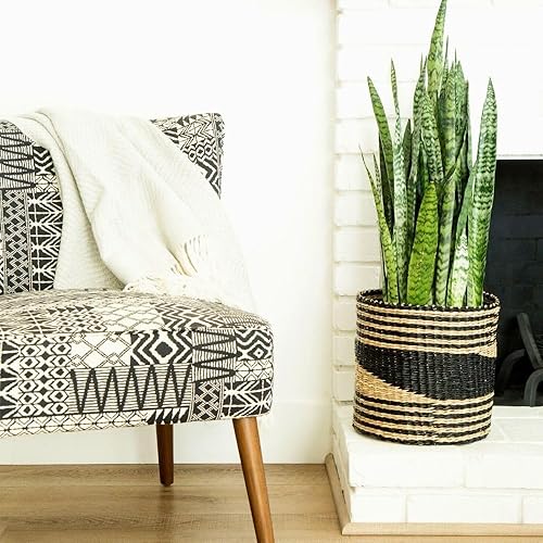 Cesta de estante pequeña de hierba marina de 12 pulgadas