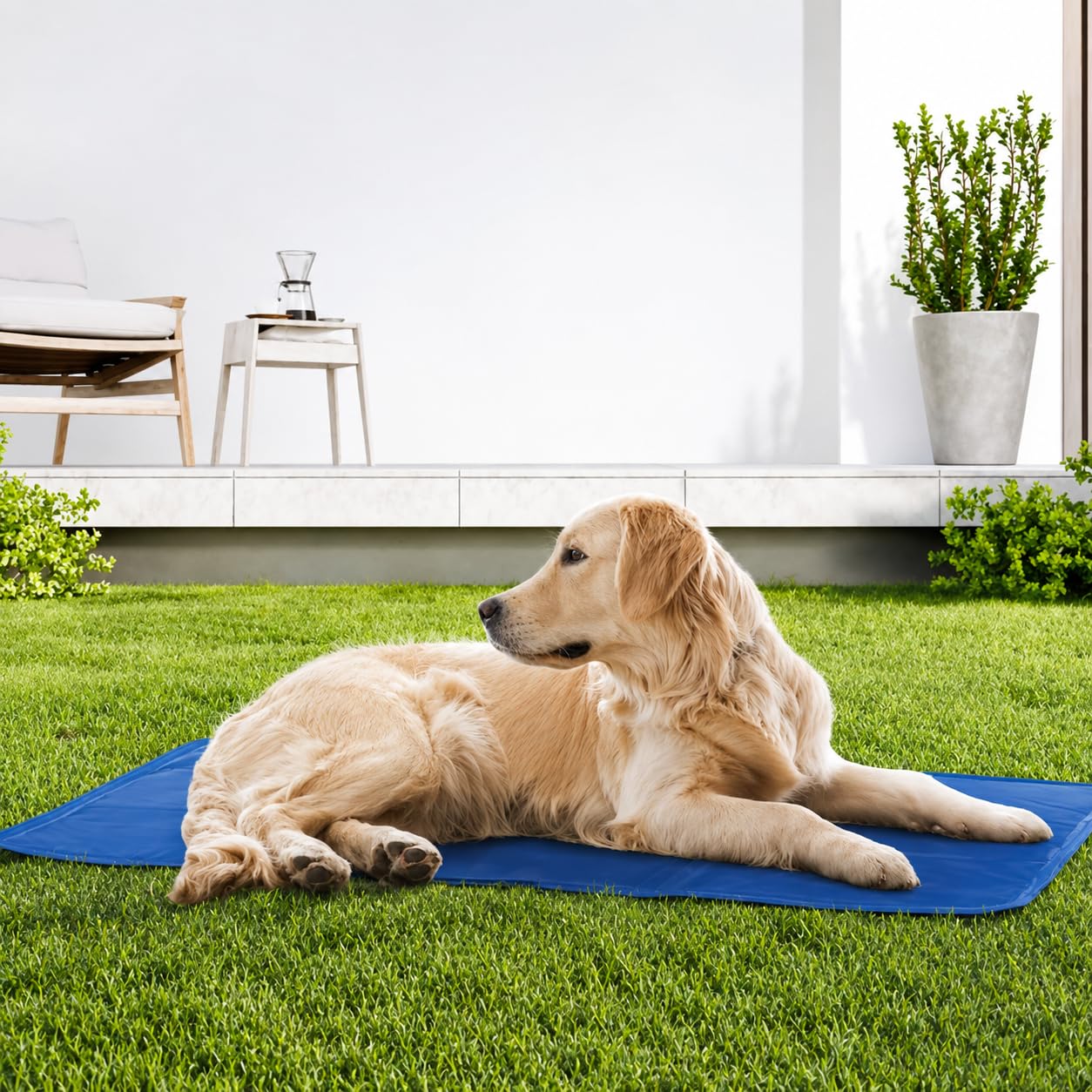 eBoutik - Large Pet Cooling Gel Pillow Mat - Heat Absorbing Cushion Pad To Keep Cool - Dog or Cat Summer Cooling Cover For Better Sleep Quality In Summer