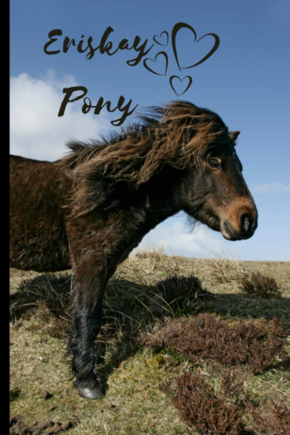 Eriskay Pony Notebook: Composition Notebook 6x9" Blank Lined Journal