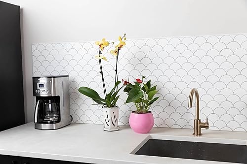 Miniatura 4 de rePotme Maceta de riego automático de 6 pulgadas para plantas de interior, violetas africanas, suculentas, colección Aqua Core (rosa rubor)