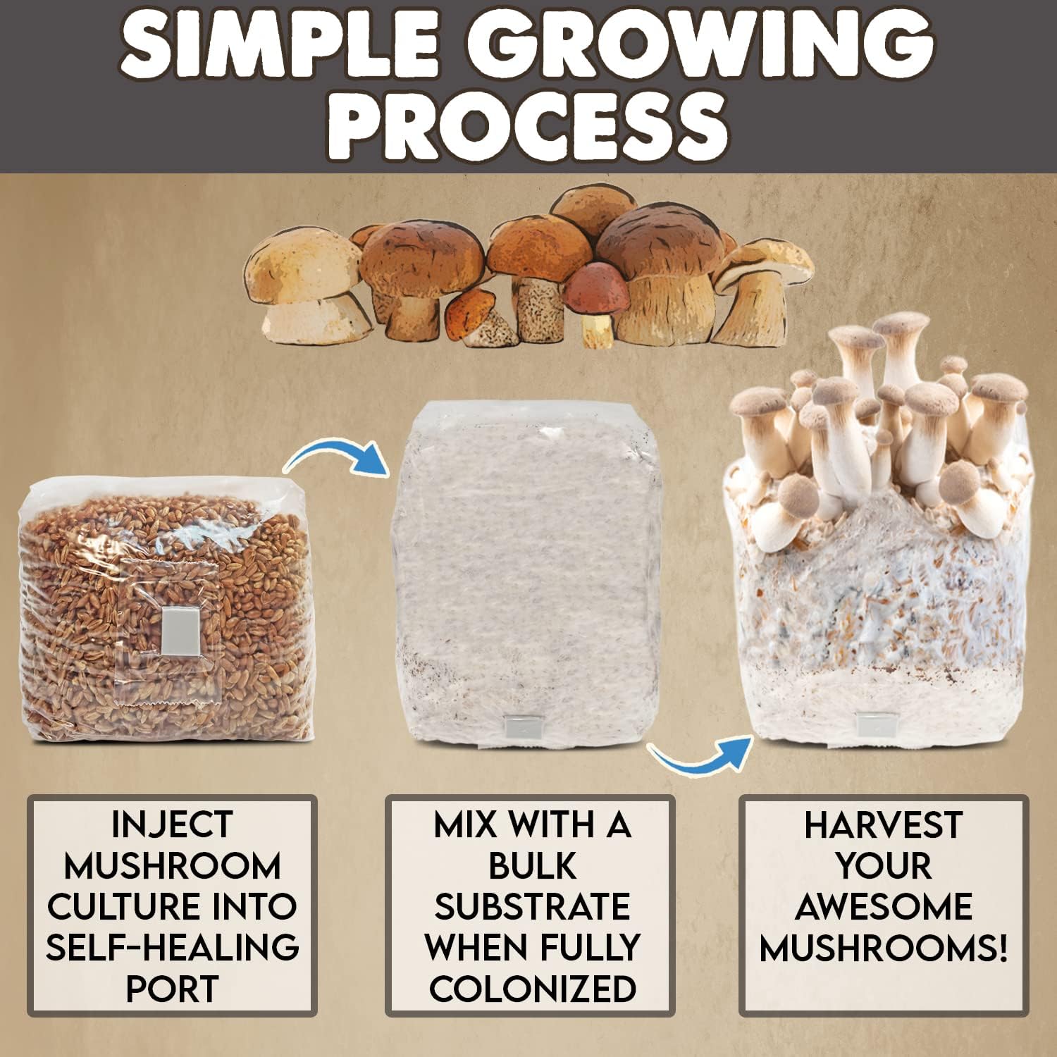 ES EVVIVA SCIENCES Grain Bag 3 LBS for Mushroom Growing – Easy to Use Grains – Self-Healing Injection Port – 0.2 Micron Patch – Ready to Use Immediately