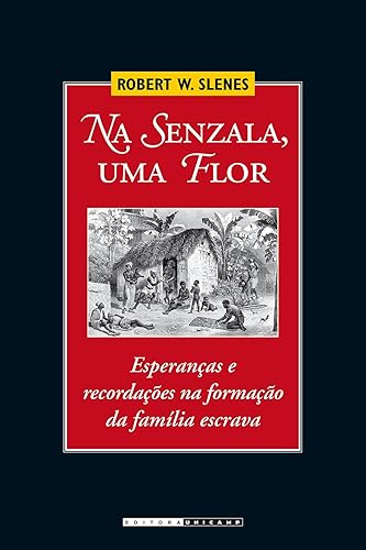 Na senzala, uma flor