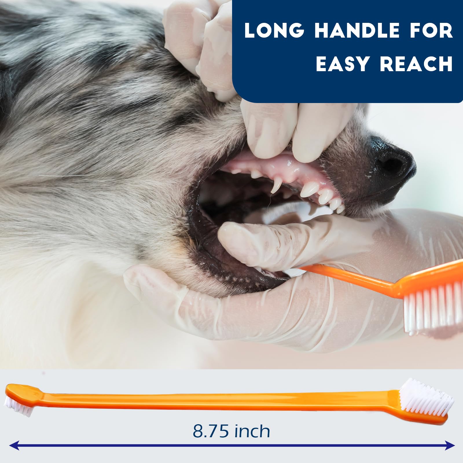 Cepillo de dientes para mascotas DU-CWYS-003-N3.