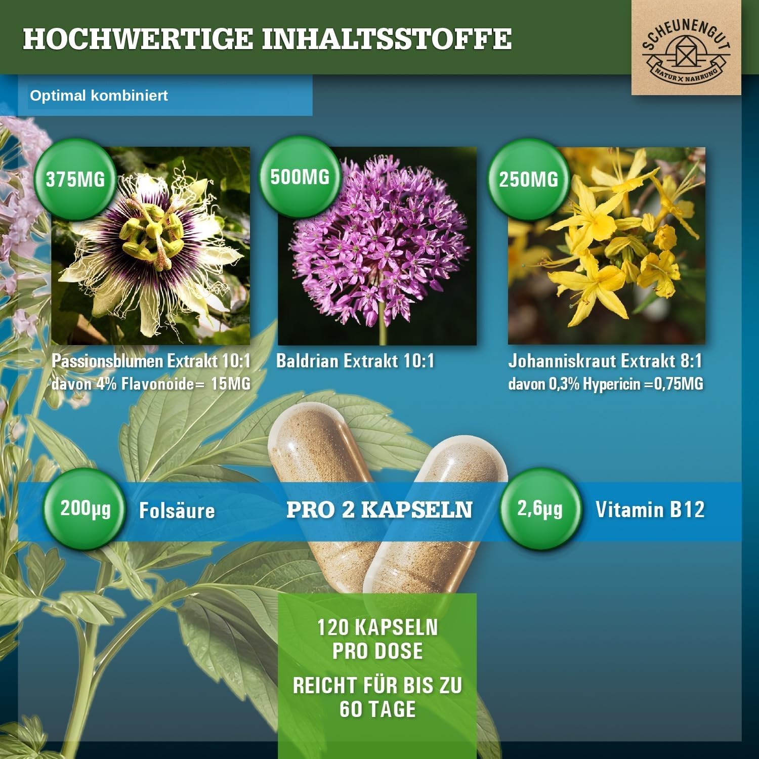 INNERE BALANCE® Passionsblume Johanniskraut Baldrian Hochdosiert -WICHTIG: Laborgeprüfter Markenkomplex mit Hypericin, Hyperforin, Folsäure +Vitamin B12 120 Kapseln DE SCHEUNENGUT®