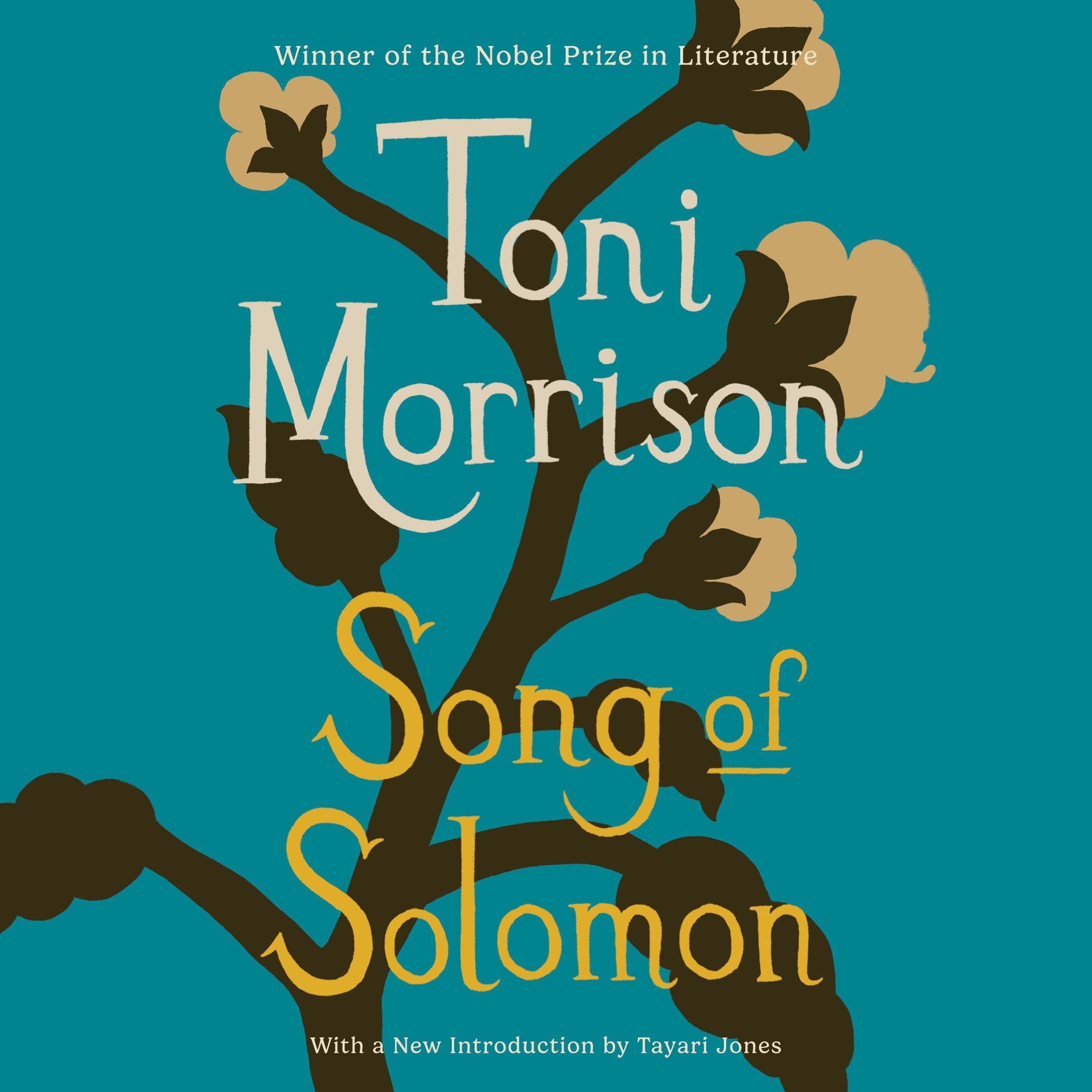 Cover art for Song of Solomon
