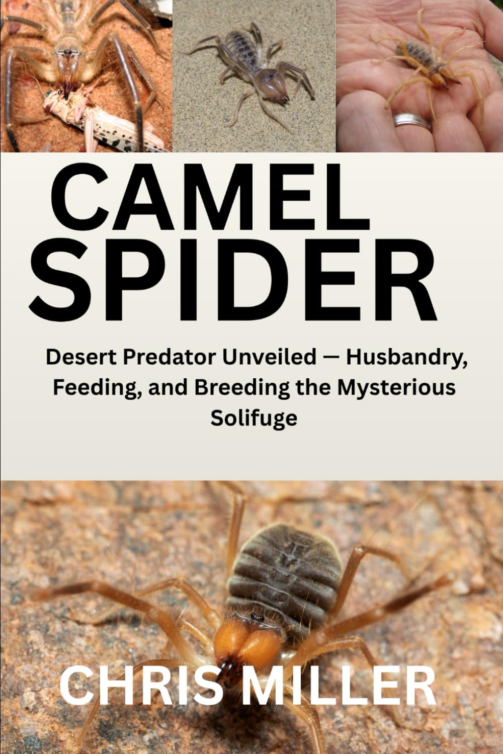 CAMEL SPIDER: Desert Predator Unveiled — Husbandry, Feeding, and Breeding the Mysterious Solifuge