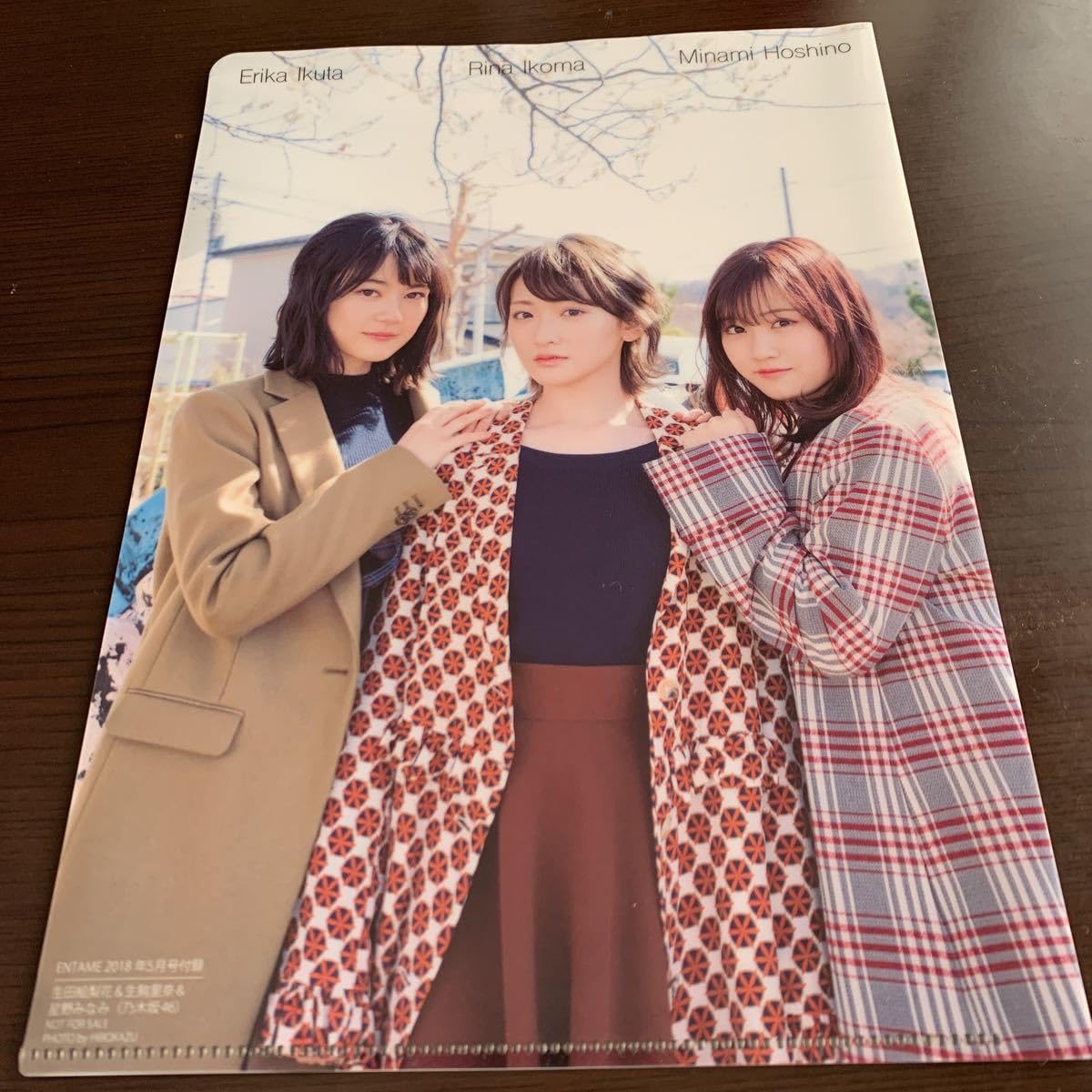 生駒里奈 生田絵梨花 乃木坂46 星野みなみ - : クリアファイル 2026年