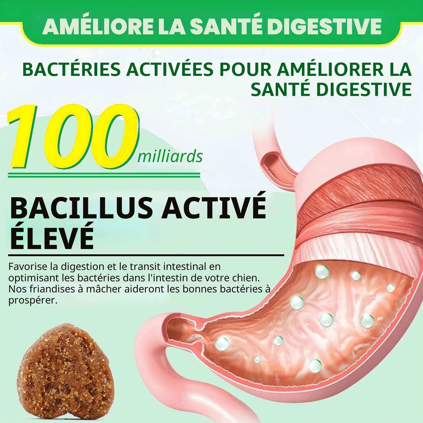 Probiotiques Chien, Favorise la santé de l'intestin, la diarrhée, la santé Digestive et Les Allergies saisonnières - Saveur de Canard - 120 mastications Souples
