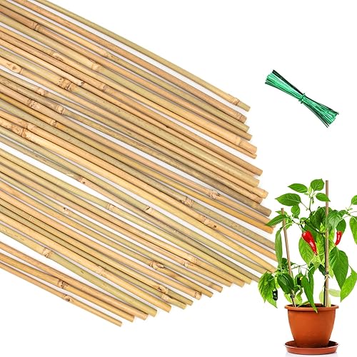 Miniatura 1 de POLIUMB Estacas para plantas verdes, estacas de madera para plantas de jardín, estacas de madera resistentes para soporte de plantas florales, palos