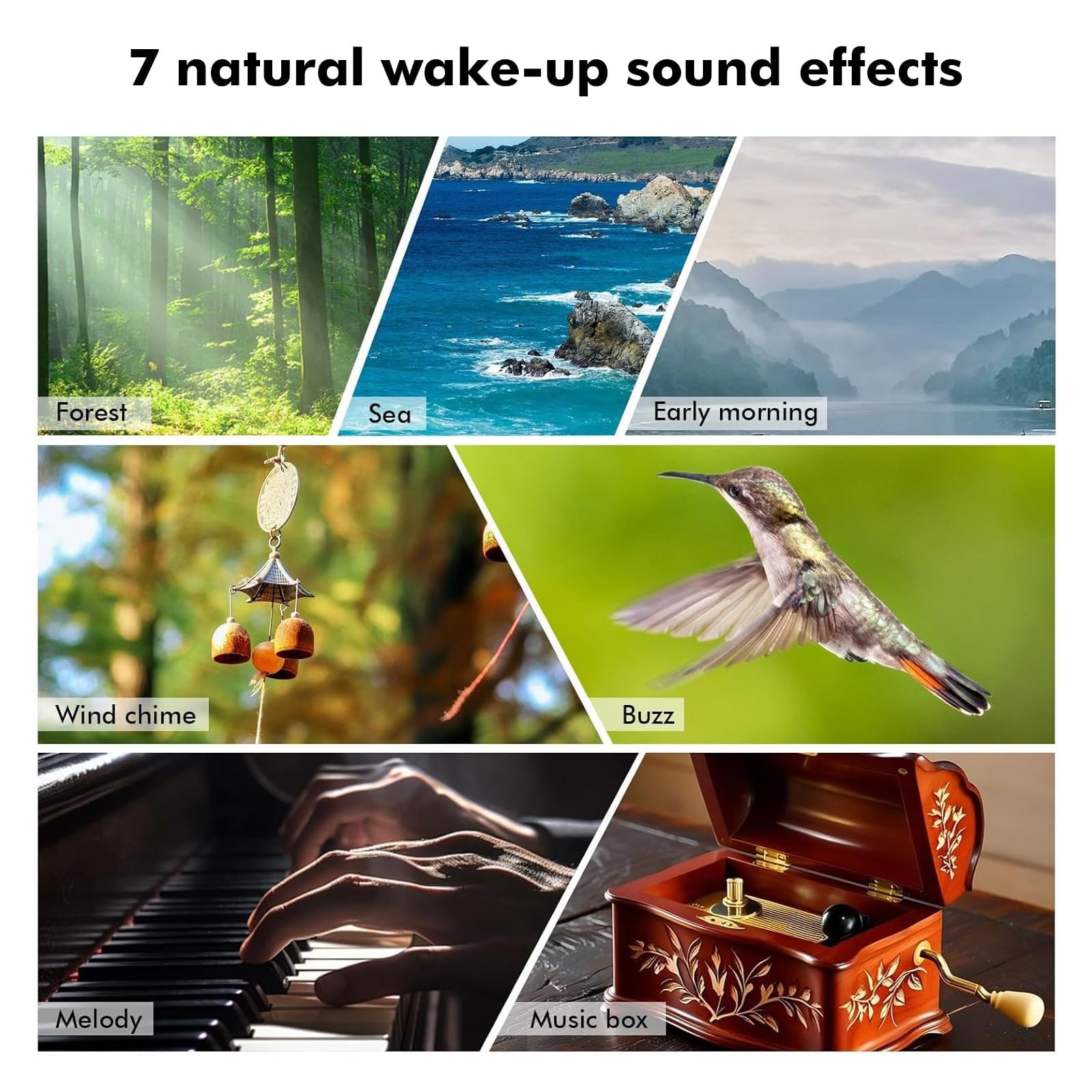 Réveil Lever de Soleil avec écran LED: Réveil Numérique, 7 Sons Naturels, Fonction Répétition pour Chambre, Adultes et Enfants