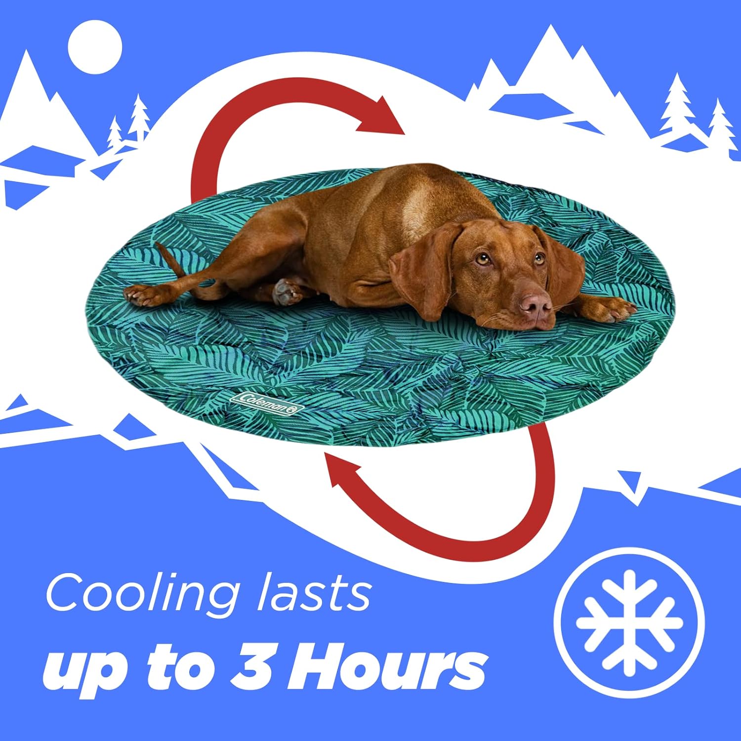 review Coleman Reversible Cooling Mat