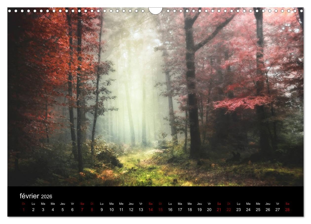 Lumières de Brocéliande (Calendrier mural 2026 DIN A3 vertical), CALVENDO calendrier mensuel: Images de la forêt de Brocéliande