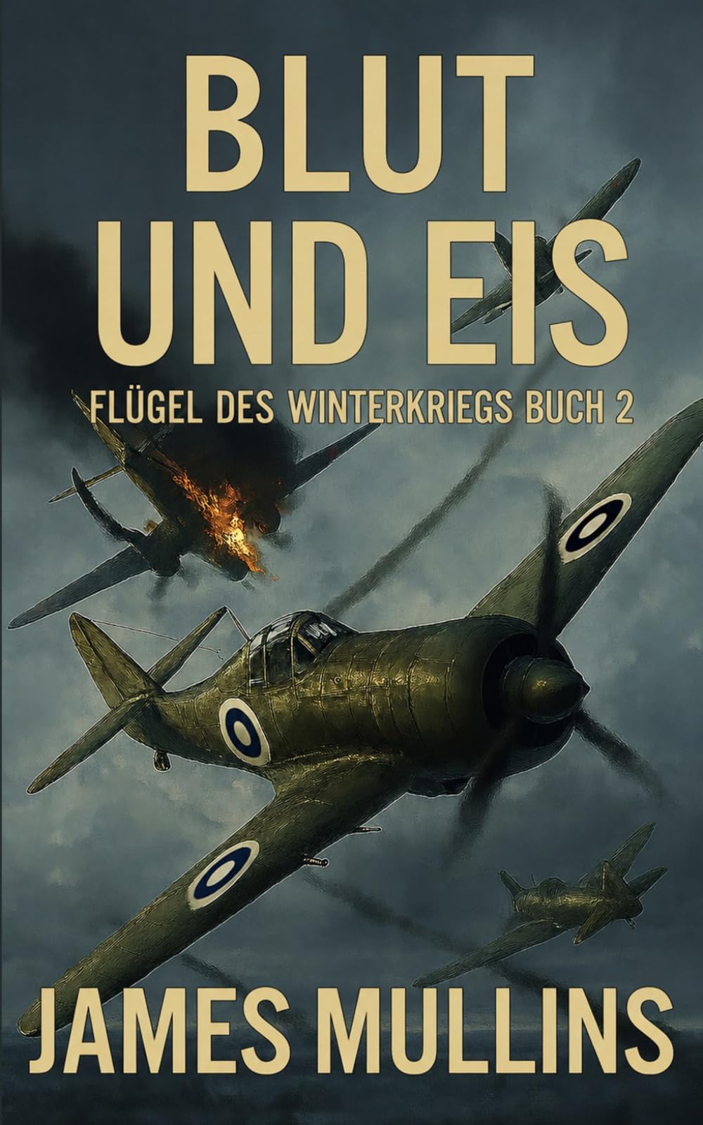 BLUT UND EIS: Buch 2 der Reihe Schwingen des Winterkriegs