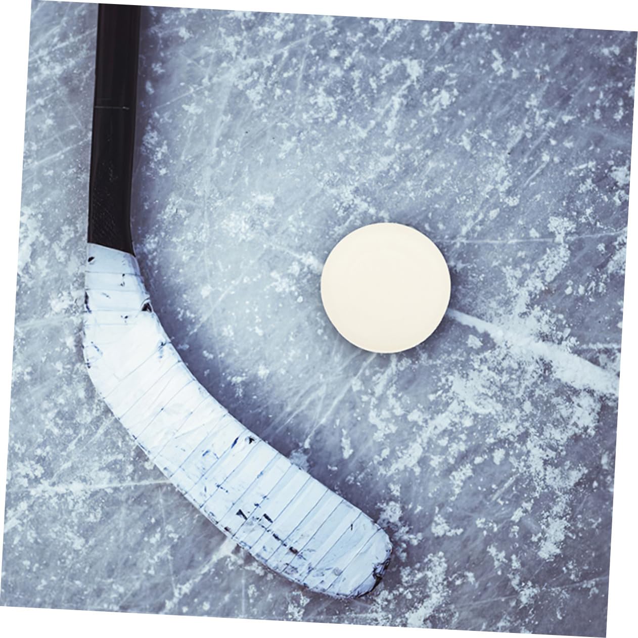 Toddmomy 5pcs Ice Hockey Training Indoor Sports Equipment for Daily Competitive Practice Lightweight Design for Accurate Shots Quick Passing for Ice Hockey Training