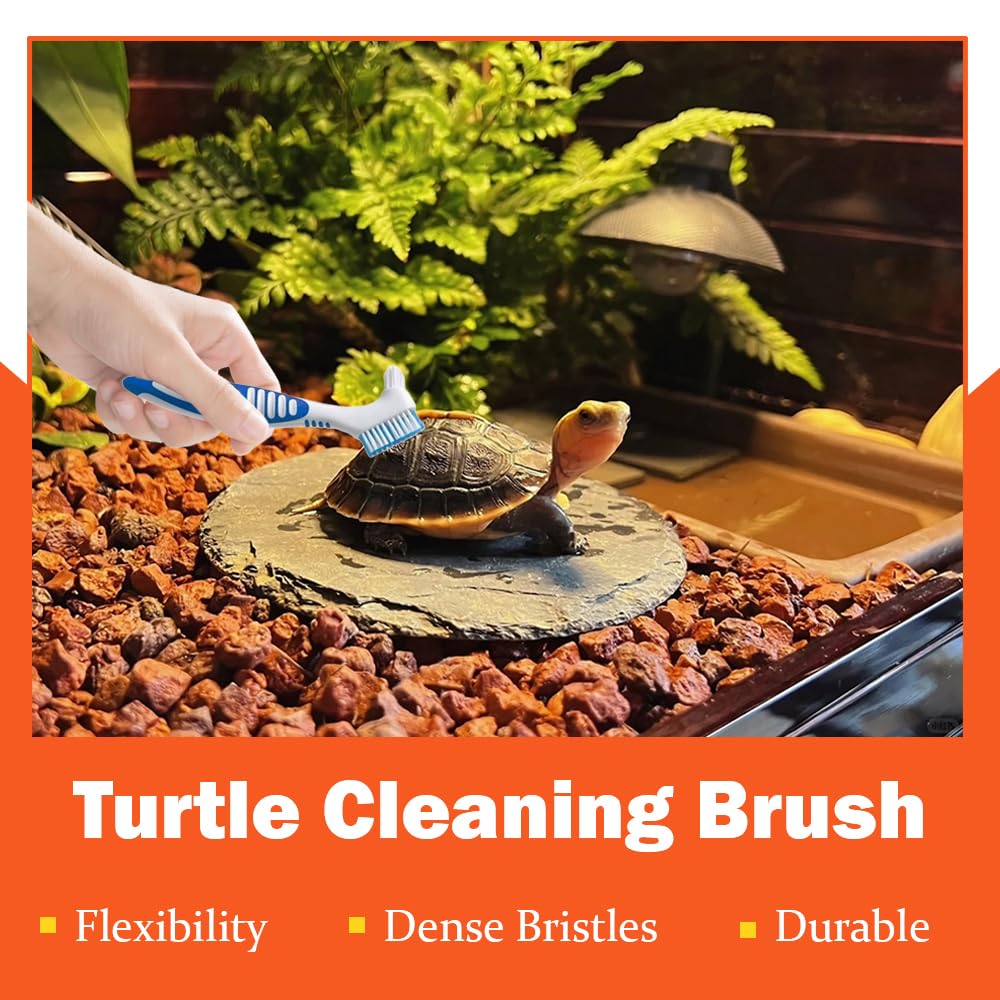 Zveniy 4 PCS Turtle Shell Cleaning Brush Mini Double-Sided Tortoise Accessories Aquarium Cleaning Tools for Animal Shell Health Removes Mud Dirt Debris - Image 4