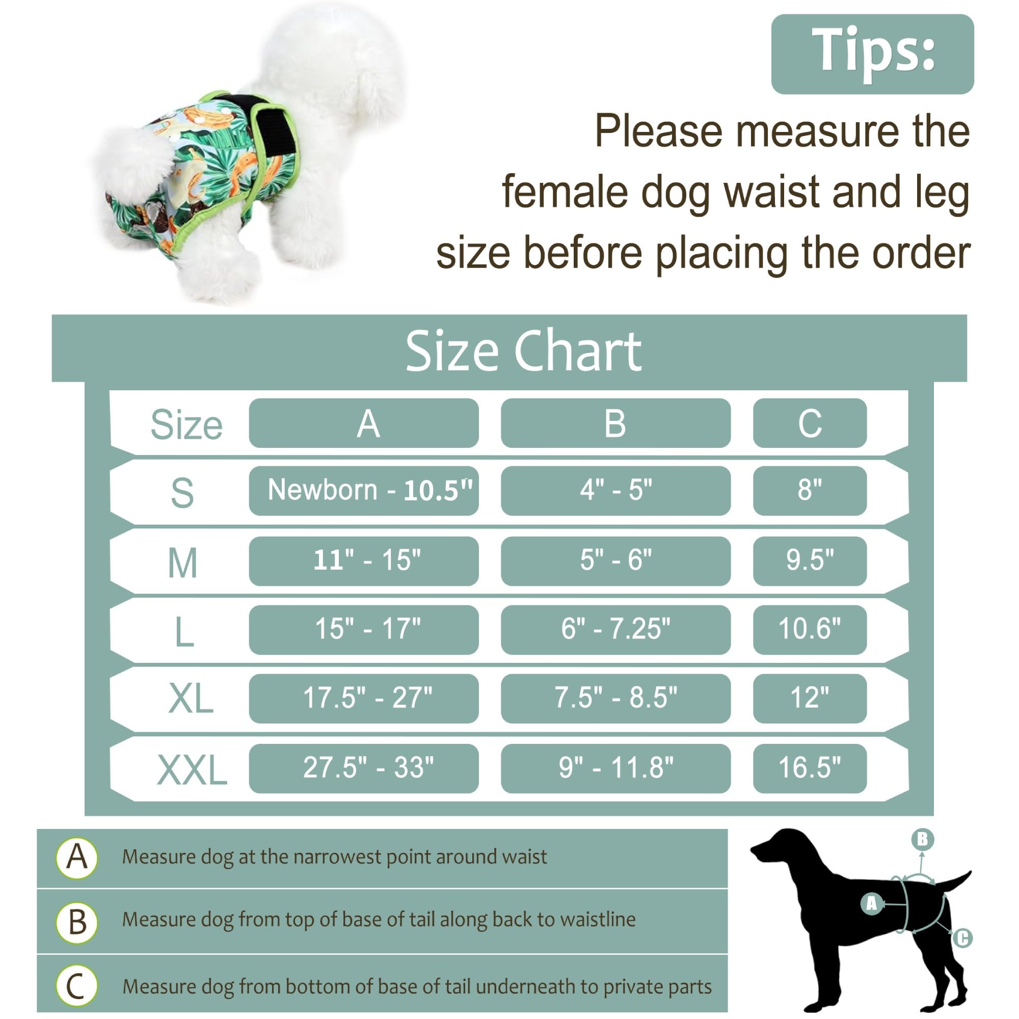 Pañales lavables para perras, pañales reutilizables de alta calidad para perritas en celo, pañales altamente absorbentes para incontinencia de mascotas con broches ajustables (succulentos, L)
