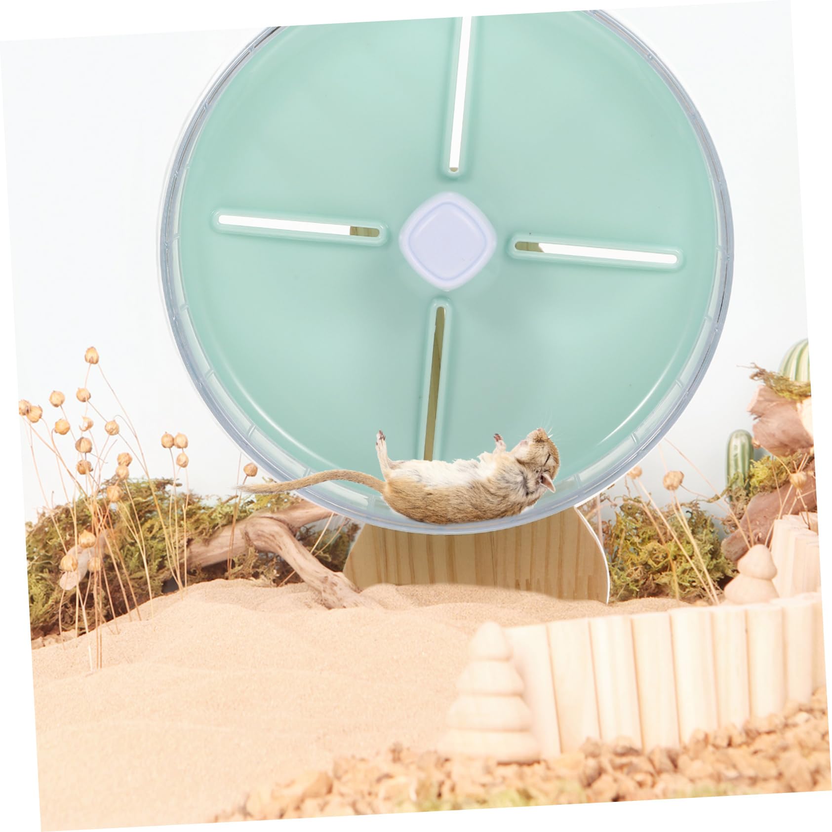 Luxshiny 1 Ensemble Roue de Course Silencieuse pour Petits Animaux Accessoire pour Hamster et Chinchilla Amusement Interactif et du Stress