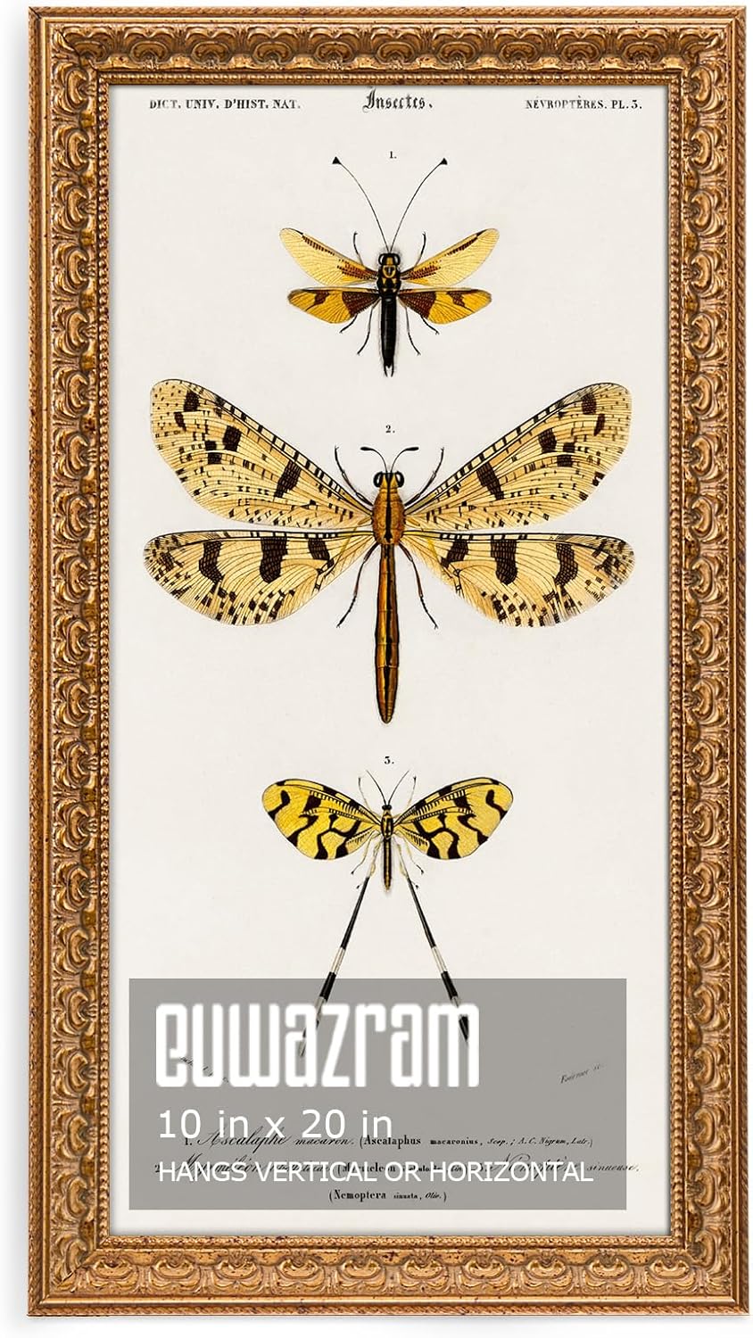 10x20 Ornate Vintage Gold Picture Frame - Single Frame, 10 x 20 Classic Poster Frame for Art Prints & Gallery Walls