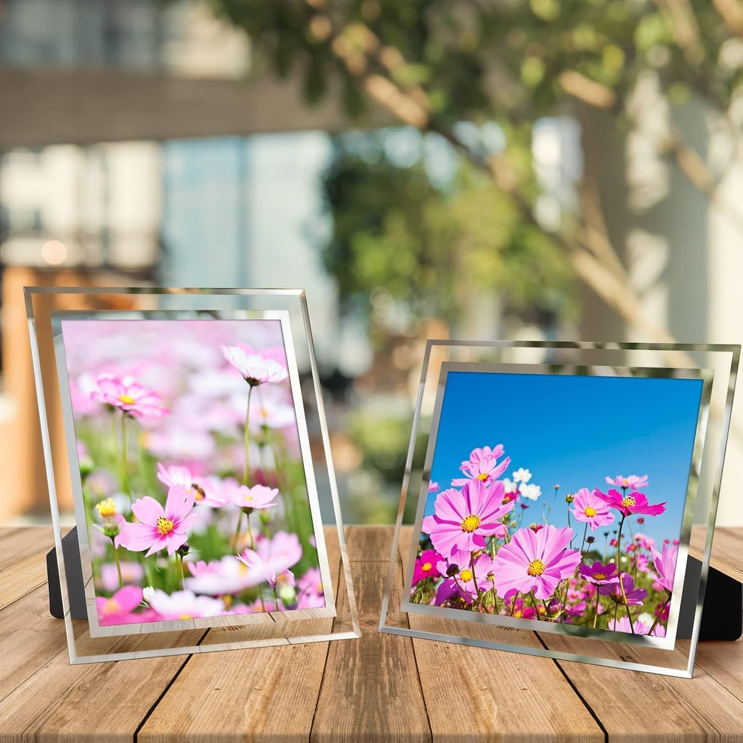 Hoikwo 8x10 Glass Picture Frames Bundle with 8.5x11 Certificate Frames