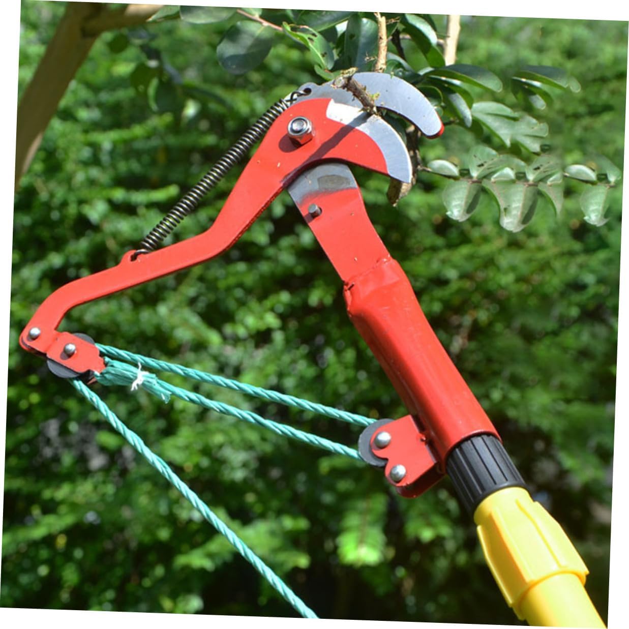 Plant Harvester Clipper with Rope, High-branches Trimmer and Fruit Tree Pruner for Garden Tree Pruning and Outdoor Plant Harvesting
