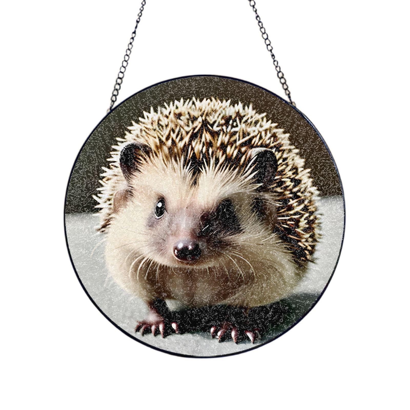 Phayah Cute Hedgehog Print Glass Window Hanging Sun Catchers Suncatcher Decor For Birthday For Home Garden Porch 4in（10cm）