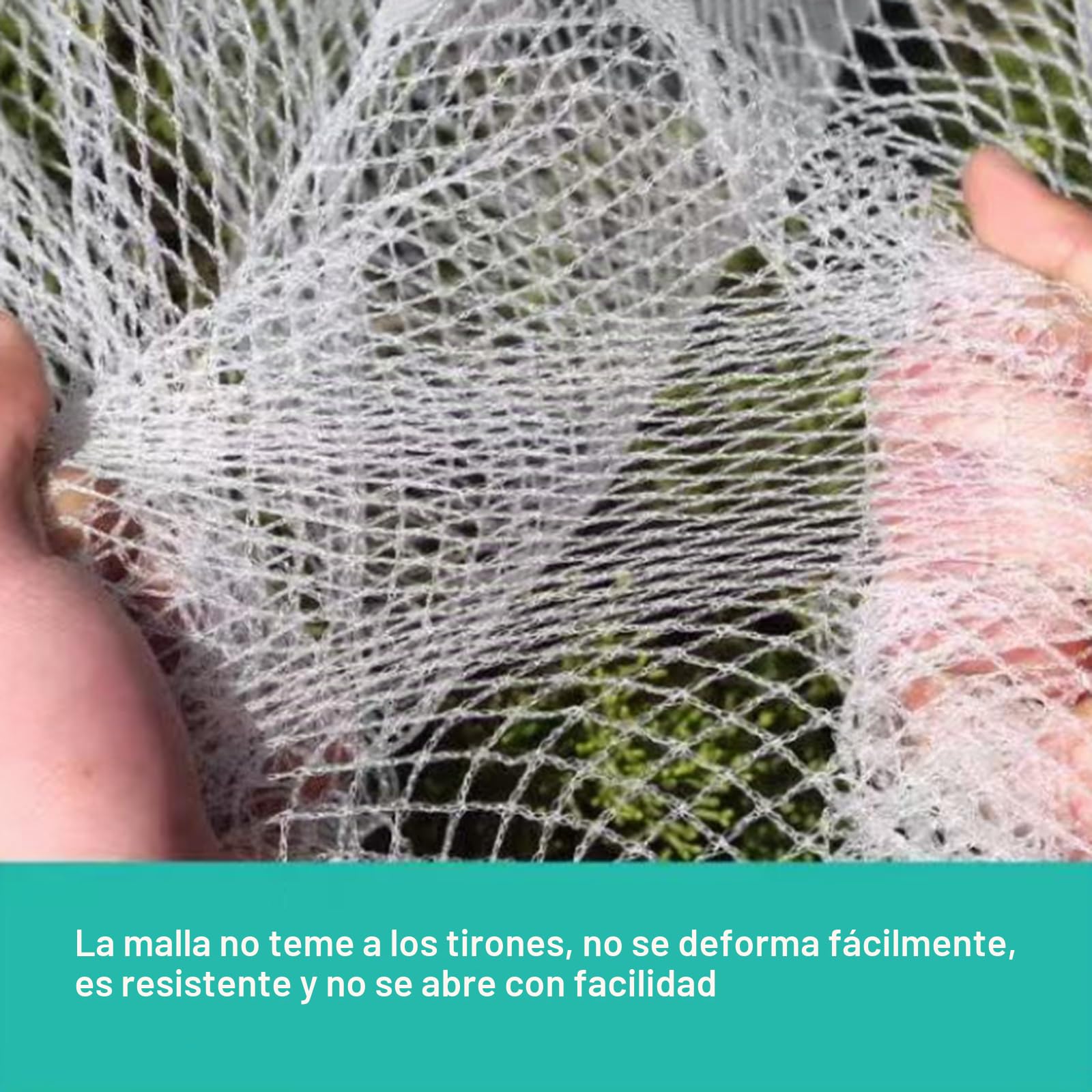 Malla Antigranizo para Huerto,Red De ProteccióN contra Granizo,Mallas para Huerto,Resistente Al Desgarro,FáCil De Plegar,para Invernaderos Y áRboles Frutales