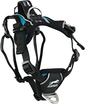 FitPAWS Made to Move No-Pull Harness | Adjustable Fit | Ideal for Dog Training, Rehabilitation, Obedience | for Dogs 10-225 lbs. Teal, XS