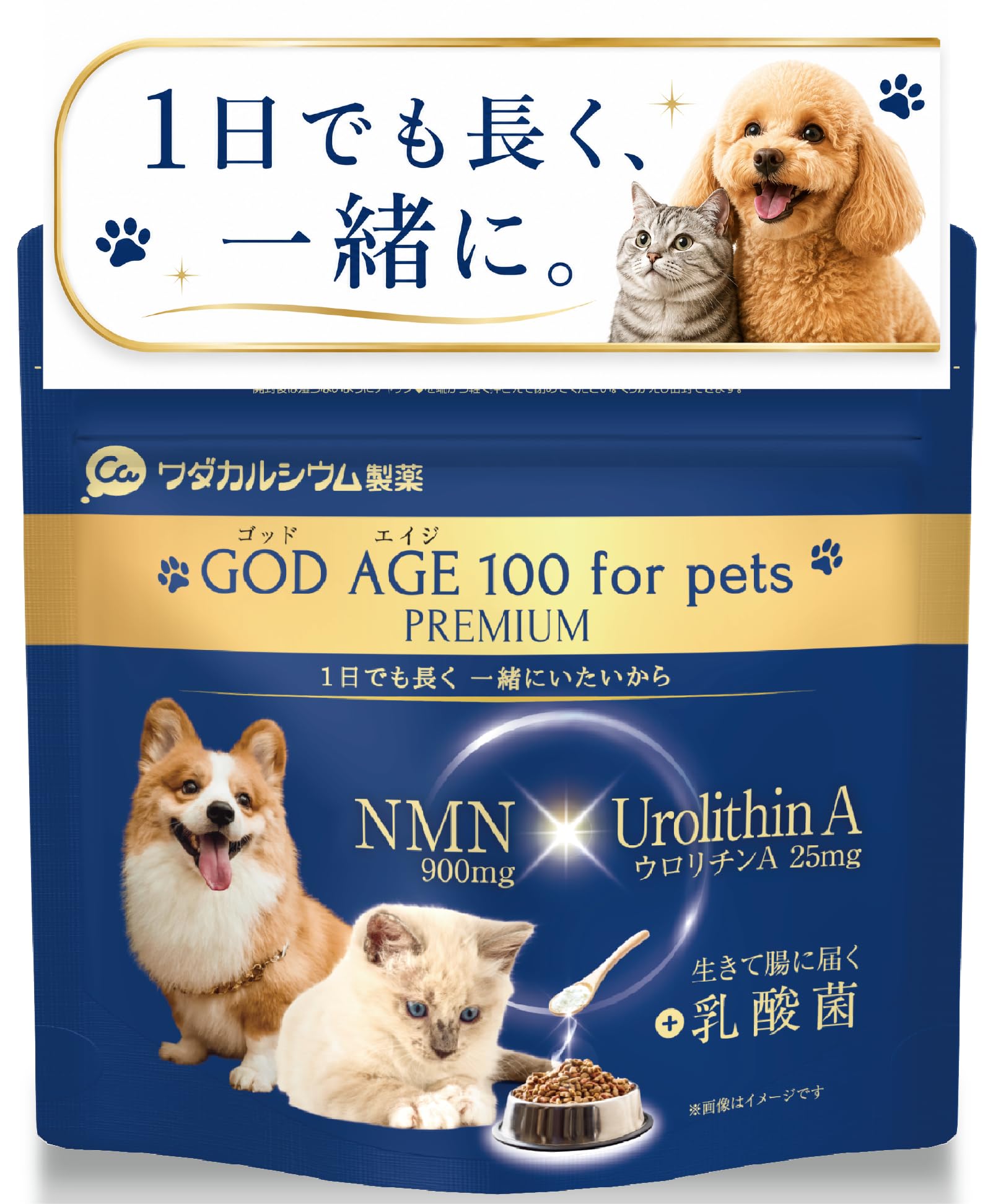 Amazon.co.jp: ゴッドエイジペット プレミアム 犬猫用 NMN サプリ