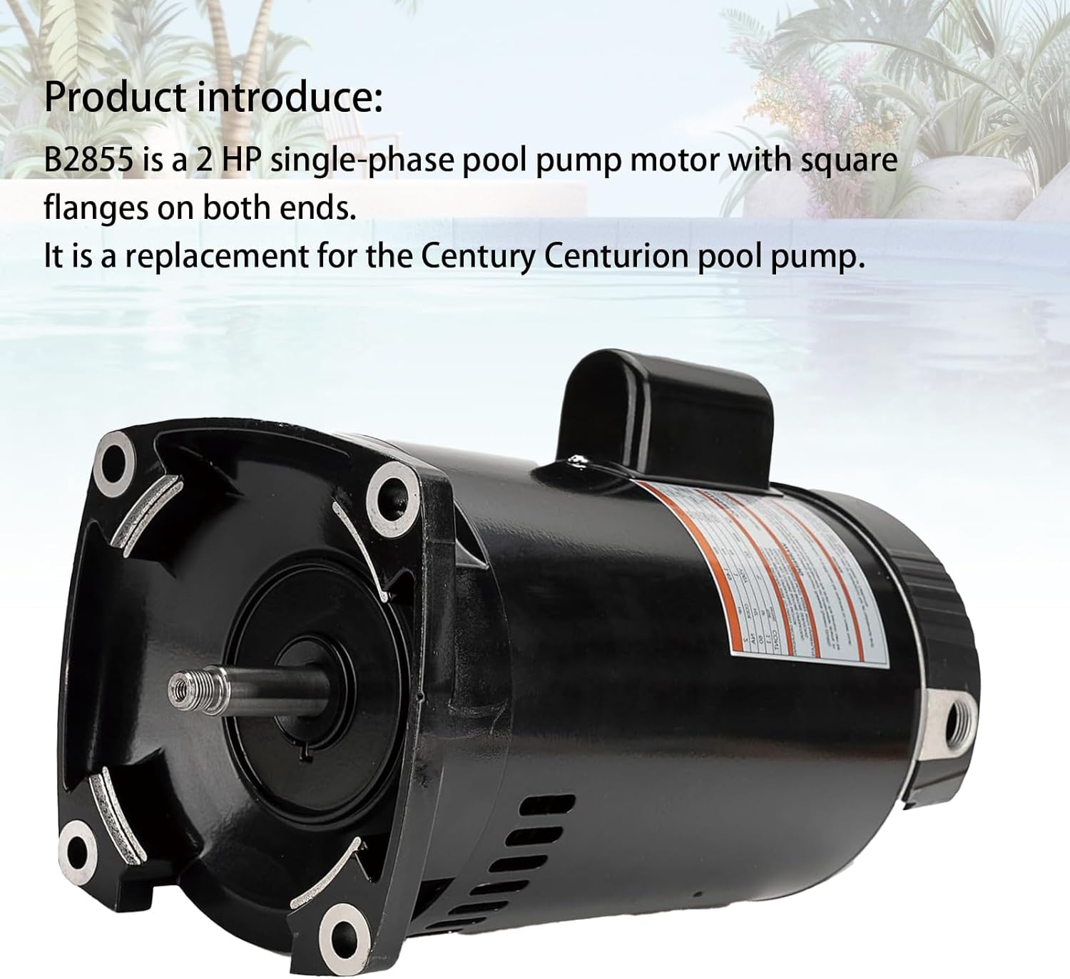 B2855 2HP Pool Pump Motor,56Y Frame | 230V | 3450 RPM Compatible with Century/Smith Pool Pump Motor