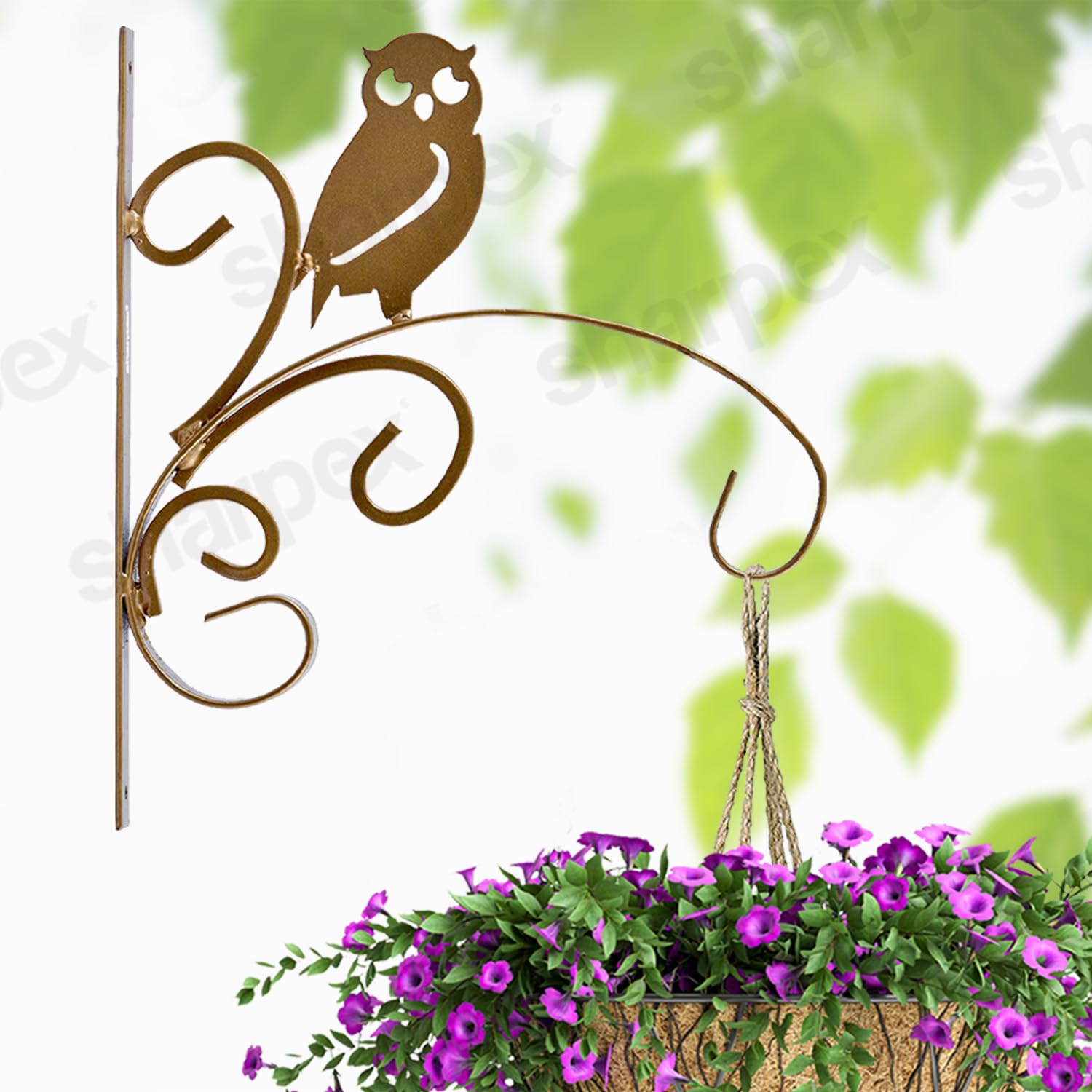Sharpex Wall Mounted Metal Bracket | Decorative Wall Hook Plant Hanger for Hanging Pots, Bird Feeders, Flower Baskets, Planters, Lanterns, Lamps, and Wind Chimes for Indoor/Outdoor Use (Gold, 1 Pc)-image-27