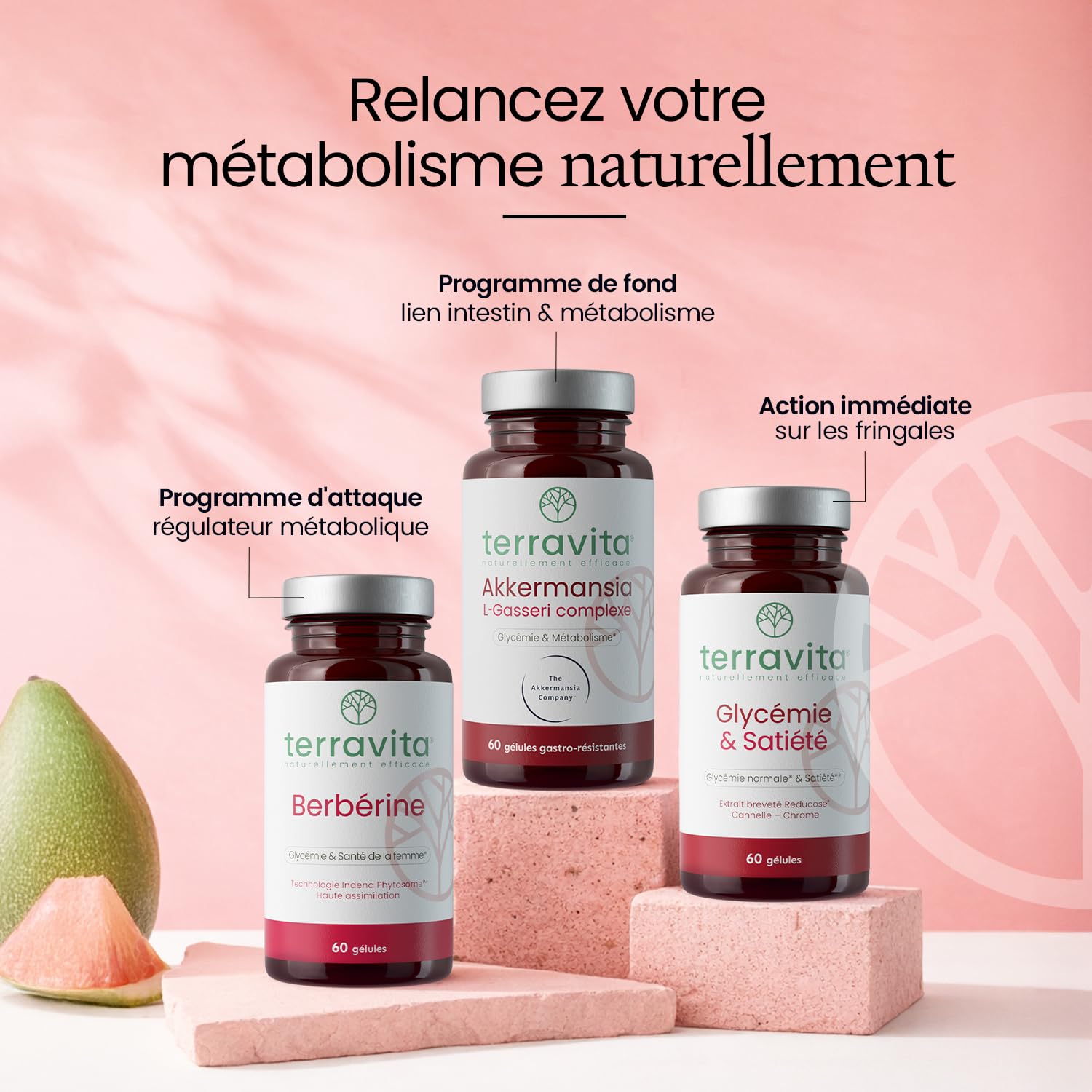 Akkermansia MucT® 30 Milliards + L. Gasseri 10 Milliards | Avec Vitamine B1 et Chrome | Régulation Glycémie + Digestion + Satiété | 60 Gélules | Made in France | Terravita