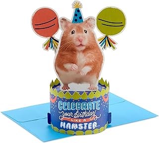 Hallmark Paper Wonder Shoebox Funny Pop Up Birthday Card (Celebrate Like a Hamster)