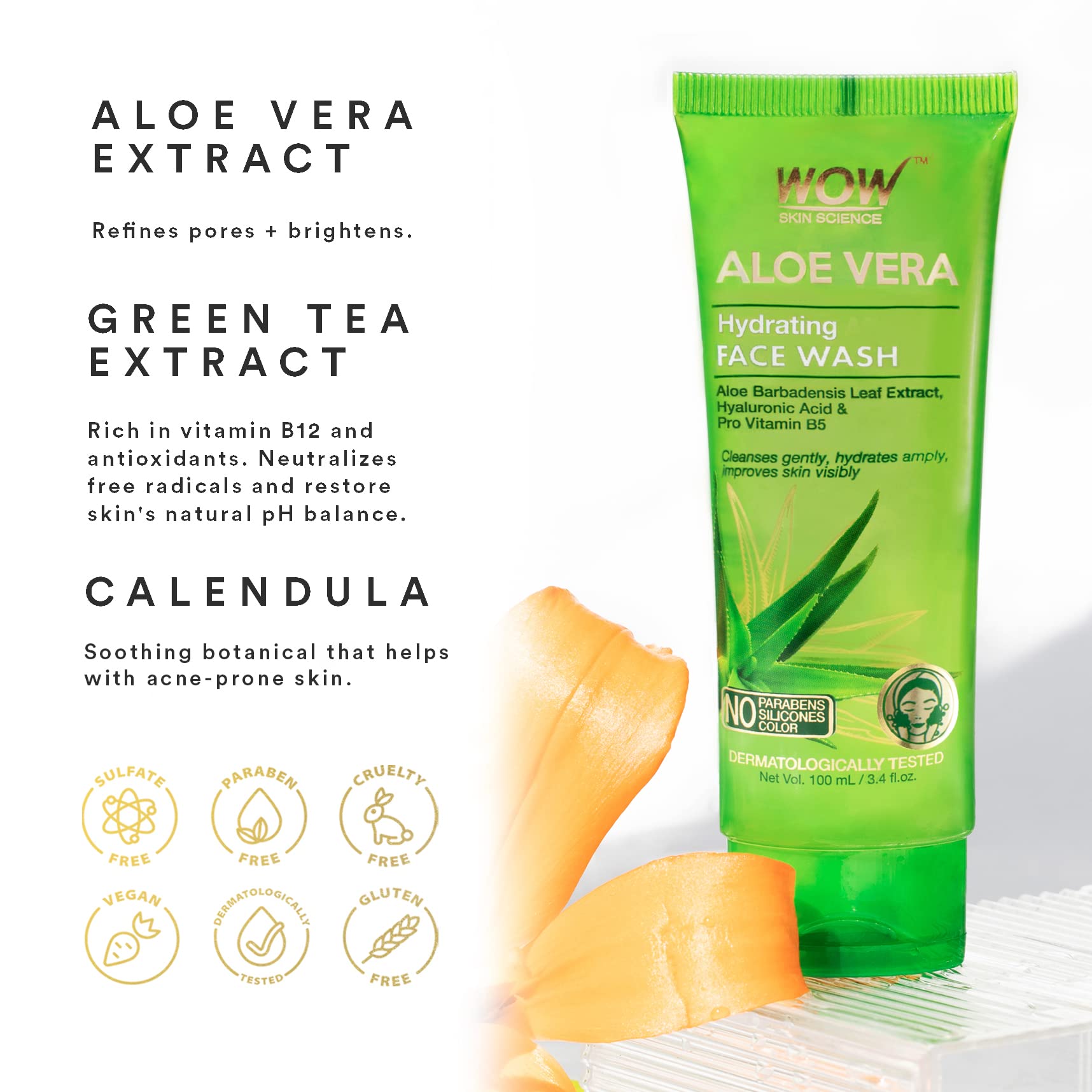 aloe vera houseplant Aloe Vera: Easy Care Houseplant for Sunny Spots – Bloombox Club main image 0