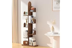 Cactus Bookshelf: An Extraordinary Tree to Display Books and Treasures